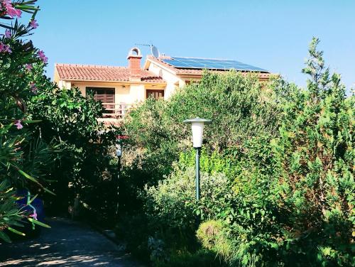 Gallery image of Adria apartments in Sveti Filip i Jakov