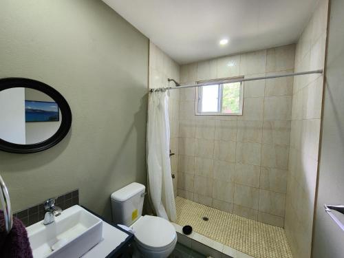 a bathroom with a shower and a toilet and a sink at Cozy 1-bedroom apartment in Frequente, St. George 