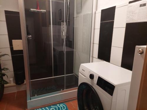 een wasmachine in een badkamer met een douche bij Ferienwohnung in Malente