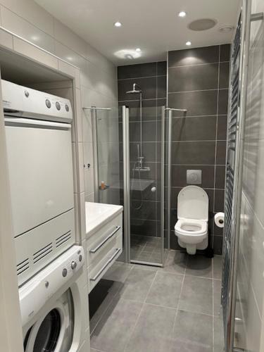 y baño con aseo y ducha acristalada. en Luxury Apartment In City Hotspot, en Gotemburgo