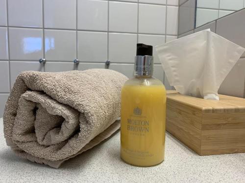 Sonniges und stylishes Bijou in St. Moritz Bad