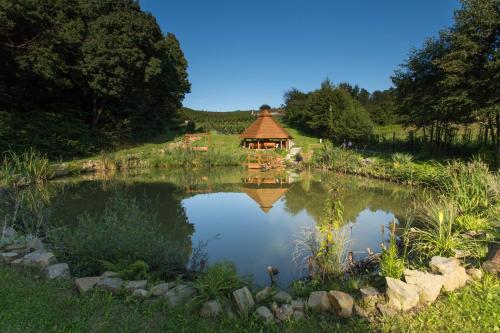 a pond with a gazebo in a garden at Apartament w Winiarni in Dąbrówka Szczepanowska