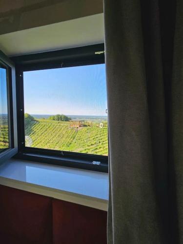 a window in a room with a view of a vineyard at Apartament w Winiarni in Dąbrówka Szczepanowska