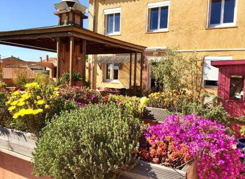 un jardin de fleurs devant un bâtiment dans l'établissement Hôtel Le Gambetta, à Vias