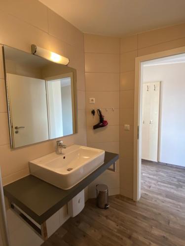 a bathroom with a sink and a mirror at Küstenbrise 2 in Graal-Müritz