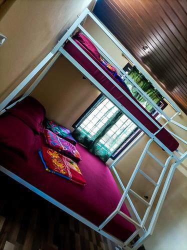 a bunk bed in a room with a ladder at Casspo bunk bed in Devikolam