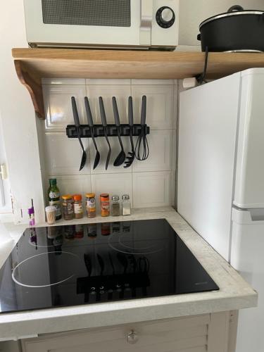 eine Küche mit schwarzem Herd und Backofen unter einer Mikrowelle in der Unterkunft Location Mont Sofa in Sainte-Rose