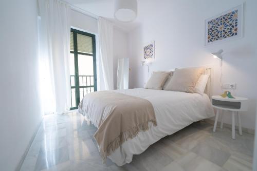 Reyes Católicos II Suite Apartment