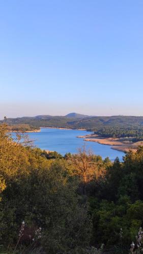 a view of a lake from a hill with trees at EuZoea Country Home in Kapandrítion