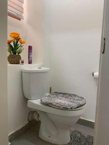 um WC branco numa casa de banho com uma planta em BELLEHAVEN LUXURY APARTMENT em Acra
