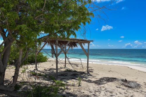 a hut on the beach near the ocean at Barbuda Cottages in Codrington Village