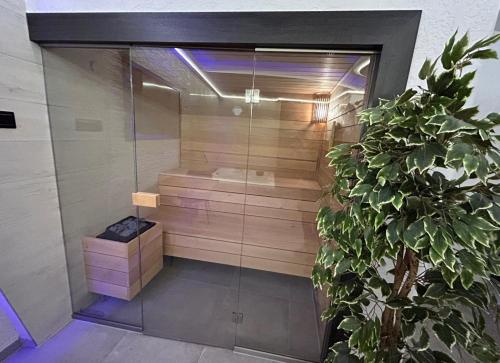 a shower with a glass door next to a plant at me and SPA in Düsseldorf