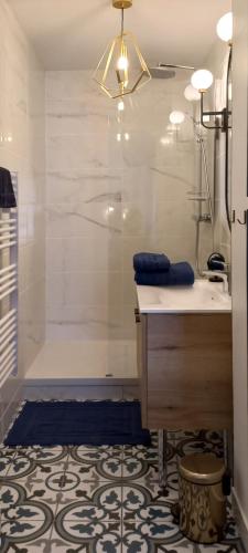 une salle de bain avec une douche, un lavabo et une baignoire dans l'établissement Résidence du Grand Hôtel à Châtel-Guyon, à Châtel-Guyon