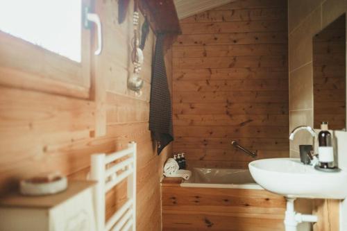 een badkamer met een wastafel en een bad bij A magical get away with bath and forest view in Putten