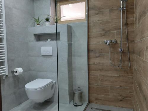 a bathroom with a toilet and a shower at Villa Iva in Rakovica
