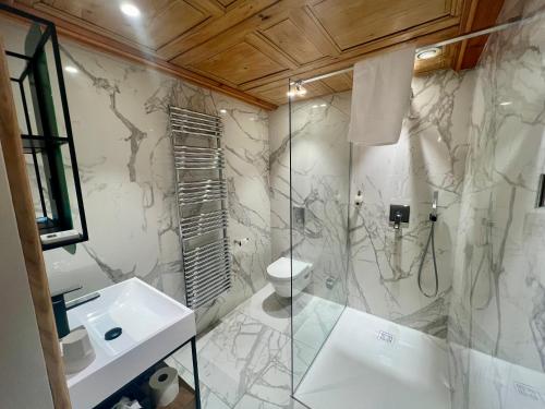a bathroom with a shower and a toilet and a sink at Hôtel La Garenne in Saverne