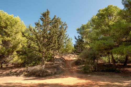 a dirt trail in the middle of a forest at Airis Boutique Hotel & Suites - For adults only in Kato Daratso