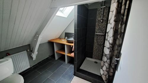La petite salle de bains est pourvue d'une douche et de toilettes. dans l'établissement 3 chambres dans typique longère en pierre bretonne, à Tresboeuf