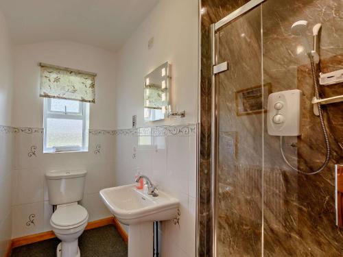 a bathroom with a toilet and a shower and a sink at 3 Bed in Newlands Valley SZ508 in Braithwaite