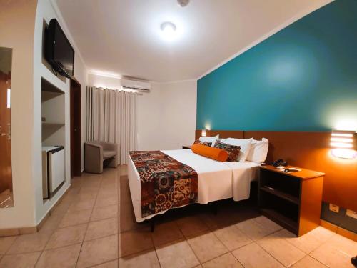 a hotel room with a bed and a television at Hotel Riviera in Araçatuba