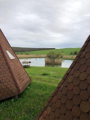 een bank in een veld naast een meer bij Nádas fogadó és panzió in Teresztenye