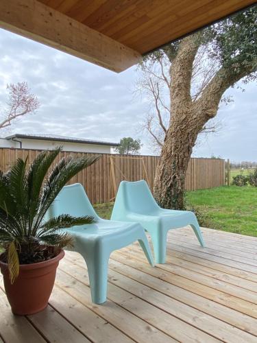 Photo de la galerie de l'établissement Calico, dépendance proche Hossegor et 15 min plage, à Saubion