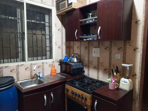 una piccola cucina con piano cottura e lavandino di Treasure apartment a Lagos