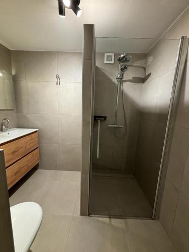 a bathroom with a shower with a toilet and a sink at Puur Texels 9a in De Koog