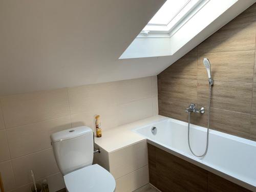 a bathroom with a toilet and a bath tub at Apartment Natali in Schnaittenbach