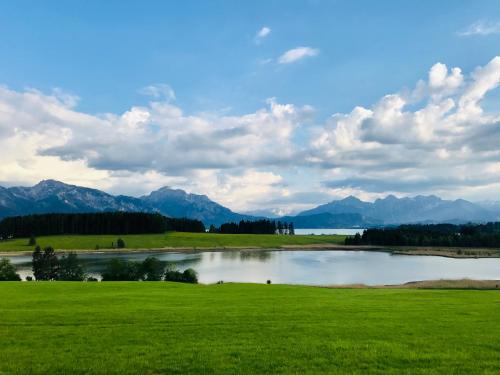a lake in a field with mountains in the background at Ferienwohnung Am Mühlbach 2 in Halblech