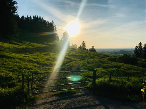 a fence on a grassy hill with the sun setting at Ferienwohnung Am Mühlbach 2 in Halblech