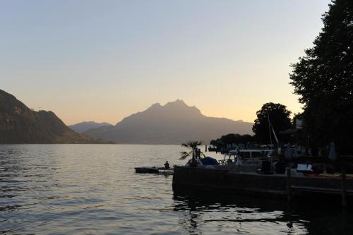 a view of a lake with a mountain in the background at Seehof Hotel Du Lac in Weggis