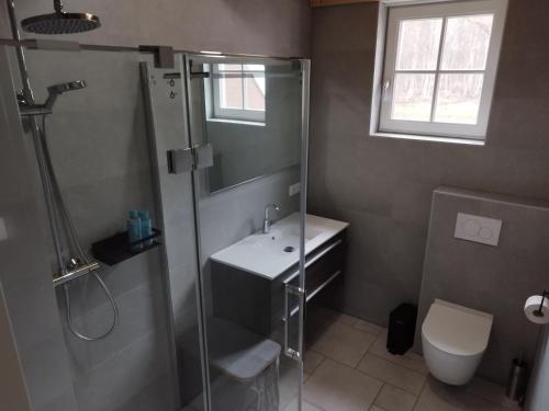 La salle de bains est pourvue d'une douche, d'un lavabo et de toilettes. dans l'établissement De Dagloner, à Nieuwlande