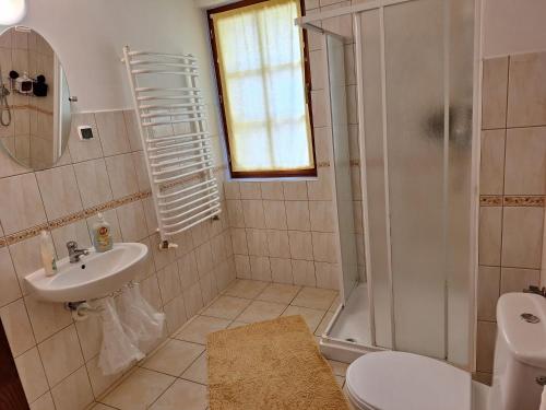 a bathroom with a shower and a toilet and a sink at Dom Gościnny Dudek in Krynica Zdrój