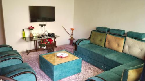 a living room with a green couch and a table at New Elite enclave in Nashik