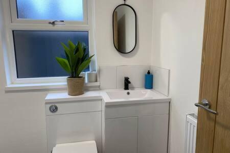 een badkamer met een wastafel, een raam en een plant bij Forest Cwtch by Afan Valley Escapes in Port Talbot