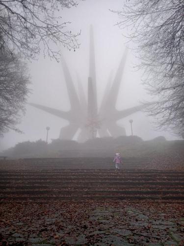 a person walking in a foggy field with a windmill in the background at Kosmaj Casa Maia in Dučina