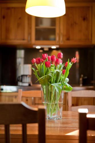 un vase de tulipes rouges assis sur une table dans l'établissement Ferienhaus 4 Prs, à Kaupen