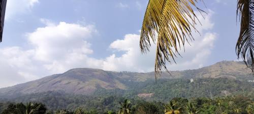 Himadri munnar holidays – Photos 3