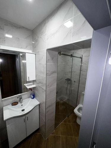 uma casa de banho com um chuveiro, um lavatório e um WC. em Apartman Jovana em Herceg Novi