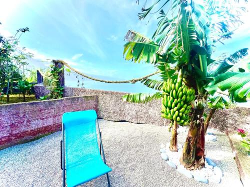 una silla azul sentada junto a un plátano en Casa Do Pico, en São Vicente