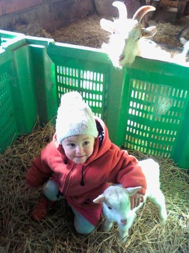 a baby is sitting next to a goat at Agriturismo Le Cavade in Cembra