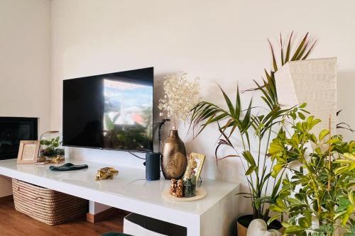 a living room with a tv and some plants at Postcard View @ Coimbra Downtown in Coimbra