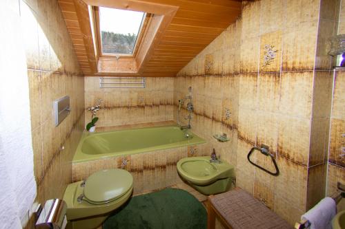 a bathroom with a green tub and a toilet and a sink at Appartment Lanz in Dobbiaco