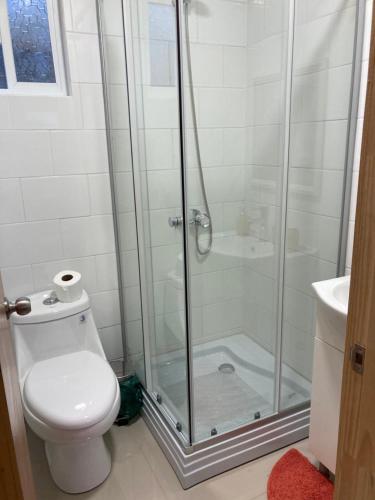 een badkamer met een douche, een toilet en een wastafel bij Lodge Güitimó in Ancud