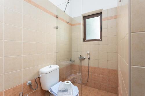 a bathroom with a toilet and a shower at Villa Spiridoula in Maroulás