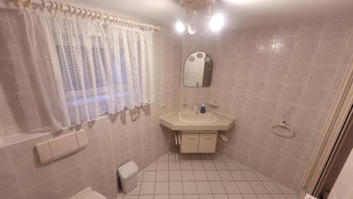 a bathroom with a sink and a toilet and a mirror at Ferienhaus am See Lichtenberg Bayern Frankenwaldsee in Lichtenberg
