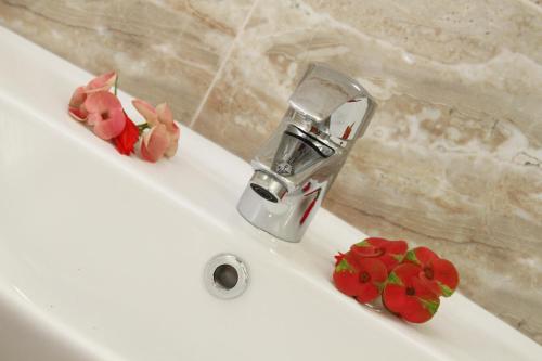 a white sink with two toy animals on it at Chrisent Residence in Port Glaud