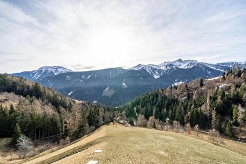 a grassy field with mountains in the background at Thalhof Hochwart in Ultimo