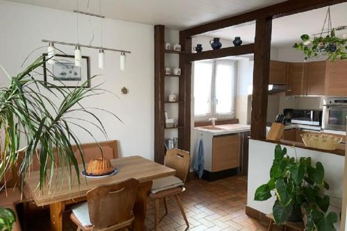 een keuken met een tafel en een aantal planten in een kamer bij ALSACE GITE 5 PERSONNES - 3 CHAMBRES - 2 SDB in Buhl